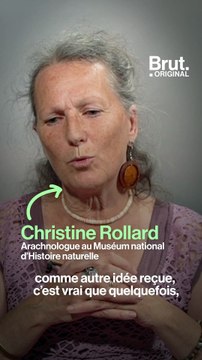 6 questions très simples sur les araignées