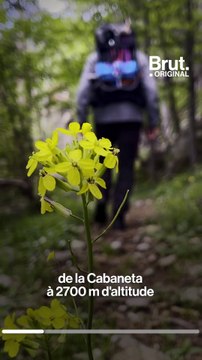 Jimmy s'est lancé un défi : nettoyer les Pyrénées