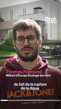 Dans l'Escaut, un fleuve du Nord de la France, un nombre inquiétant de poissons morts