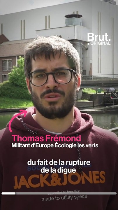 Dans l'Escaut, un fleuve du Nord de la France, un nombre inquiétant de poissons morts