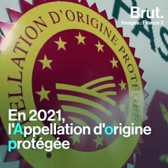 La guerre des camemberts en Normandie