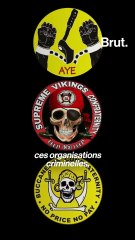 L'histoire des cults, les gangs nigérians aux croyances occultes 1/2