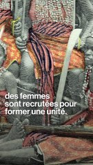 The Woman King : qui étaient les Amazones du Dahomey ?
