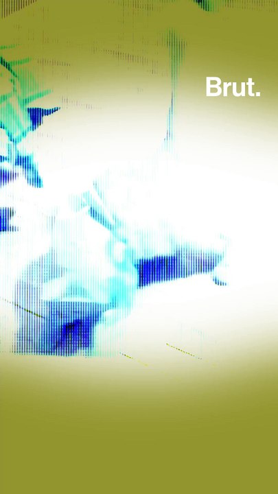 Les dangers de l'obésité chez les chats