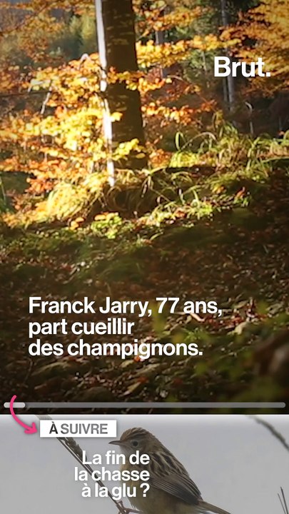 Les accidents de chasse mortels se multiplient