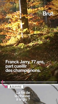 Les accidents de chasse mortels se multiplient