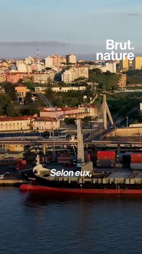 Pourquoi les attaques d'orques contre les bateaux se multiplient