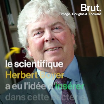 La bactérie E.coli est l'un des êtres vivants les plus étudiés au monde