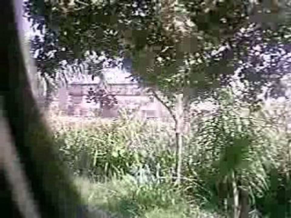 IMAG0018