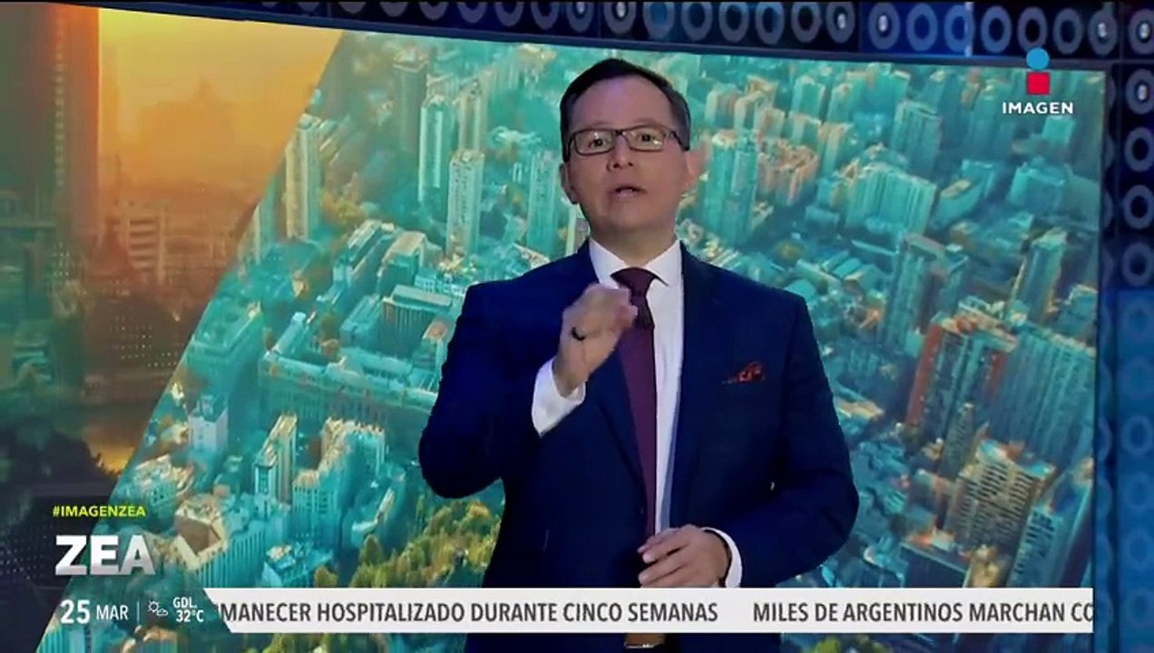 Resguardan a perrito herido en la estación Indios Verdes del Metro de la CDMX