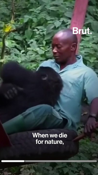 DRC: six rangers killed at protected national park