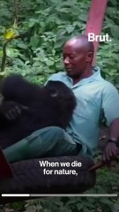 DRC: six rangers killed at protected national park