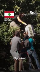 In Beirut, a non-profit is rescuing animals following the explosion