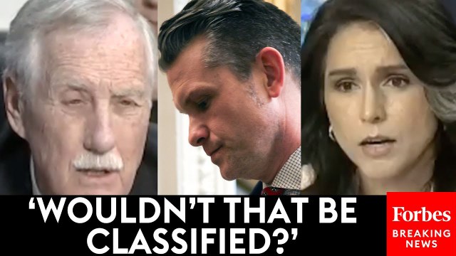 Sen. Angus King Grills Tulsi Gabbard About What Pete Hegseth Allegedly Wrote In Leaked War Plans