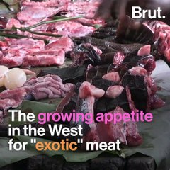 Bush meat trafficking is a worldwide phenomenon