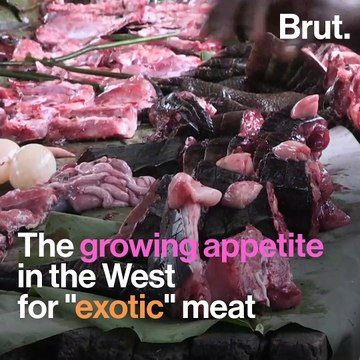 Bush meat trafficking is a worldwide phenomenon