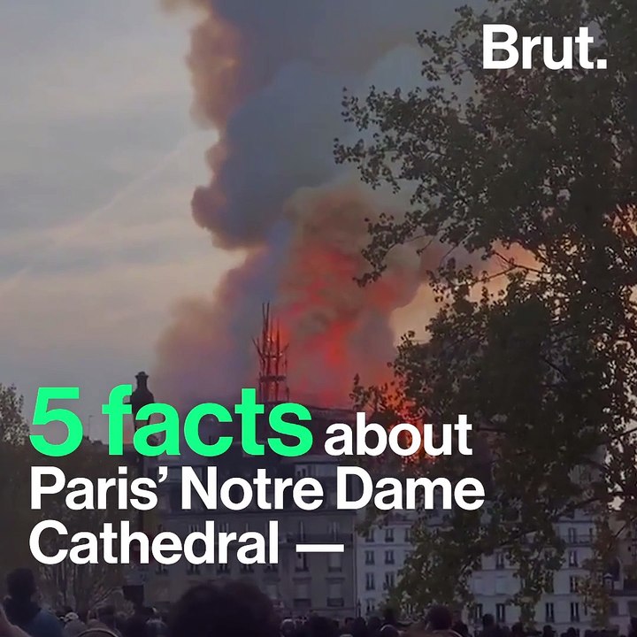 5 Facts About the Iconic Notre Dame Cathedral