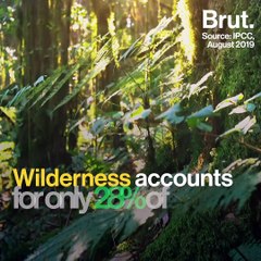 The IPCC just released an alarming report