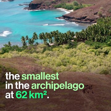 Semi-wild horses on the Marquesas Islands, French Polynesia