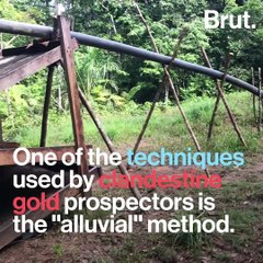 French Guiana: soldiers are fighting against gold trafficking