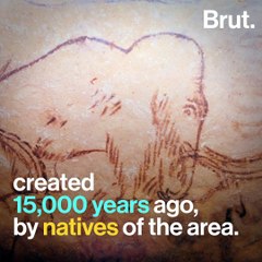 Mexico: over 800 mammoth bones discovered