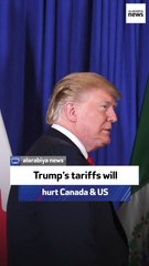 Journalist: Trump’s tariffs will hurt both sides