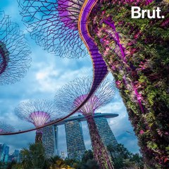 Gardens by the Bay brings futuristic architecture and botany together