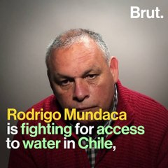 This activist unveils the hidden face of Chile’s avocado production