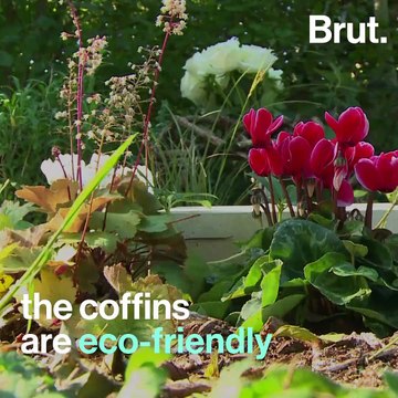 Eco-friendly burials