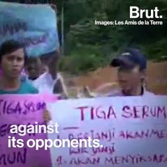 The palm oil industry is accused of many acts of violence