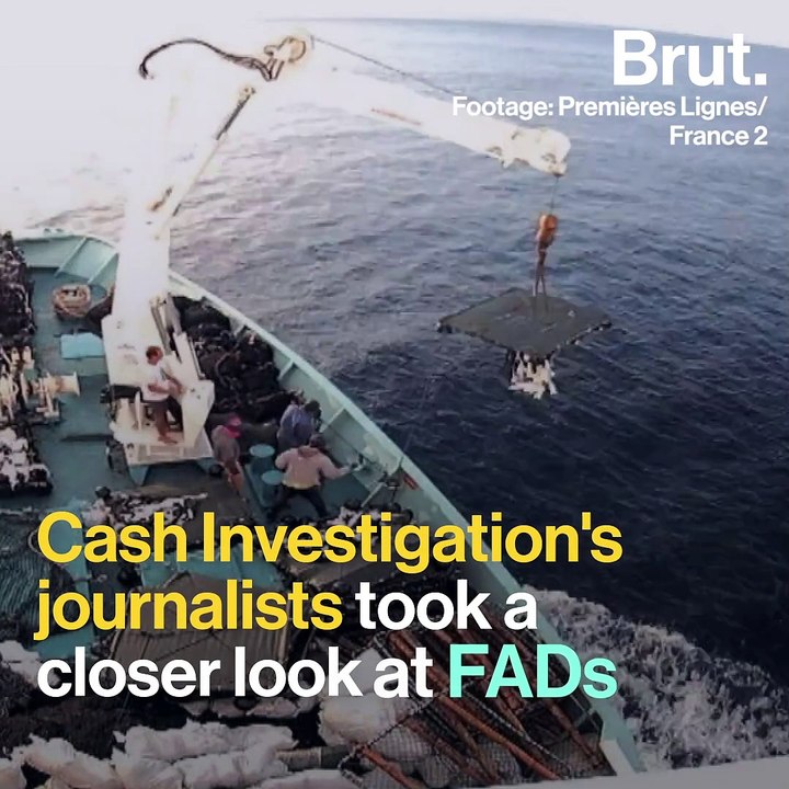 Fishing: Why FADs are a threat to marine life - video Dailymotion