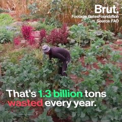 Dysmus Kisilu is helping small farmers in sub-Saharan Africa