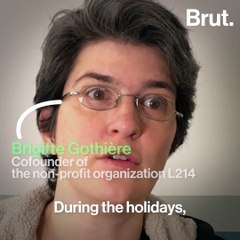 Foie gras, one of the most controversial foods in the world