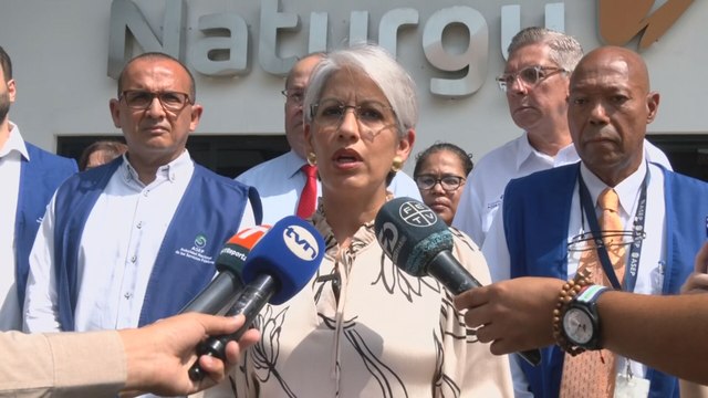 ASEP realiza auditorías en empresas eléctricas