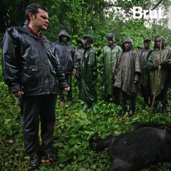 Emmanule de Merode and Virunga National Park
