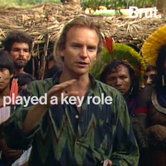 Interview with Sting: how we can solve the environmental crises