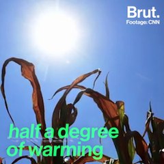 Climate change consequences