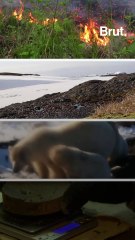 4 consequences of global warming in the Arctic