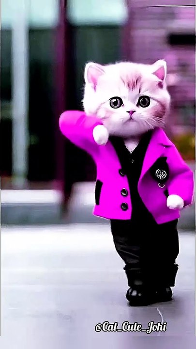 Crazy Cute Cat Dancing 💜😹 | #cutecat #cats #cat #dancingcat #catvideos #shortfeed #viralshorts #f33