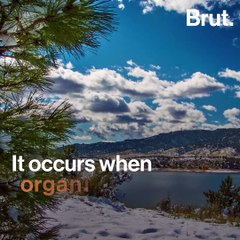 Methane rising to the surface of lakes