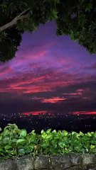 Over Looking