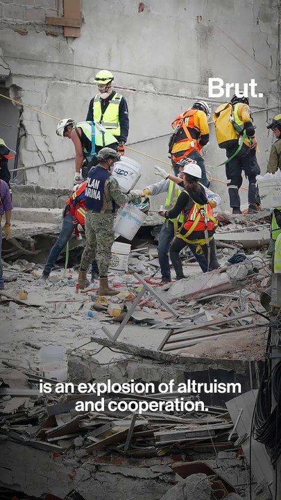 Humans may not be so bad after all