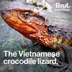 New animals discovered in the Greater Mekong region