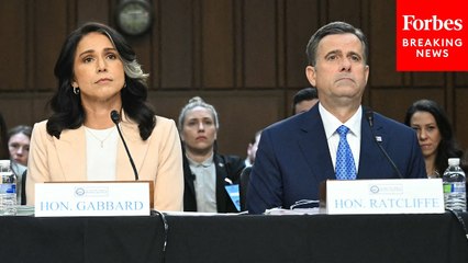 Tulsi Gabbard, John Ratcliffe Face Grilling Over Leaked War Plans In Senate Intel Committee