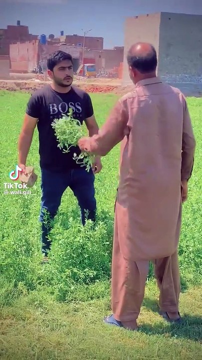 Dailymotion ### funny vedio status