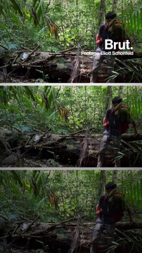 In the footsteps of an explorer who disappeared in the Amazon...