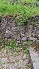 Spring 2025, one day trip in livadia town