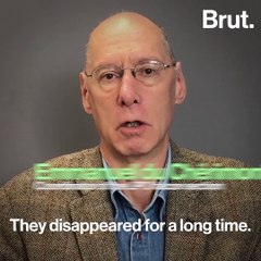 Peregrine falcons are back in Paris