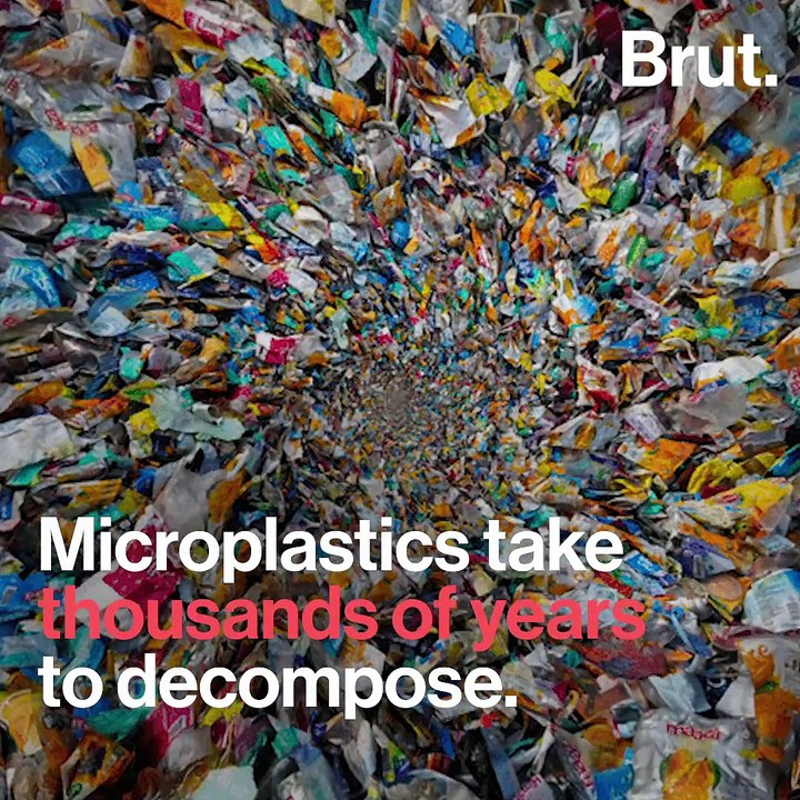 Scientists alarmed by microplastics
