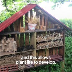 These French students are bringing nature to their campus